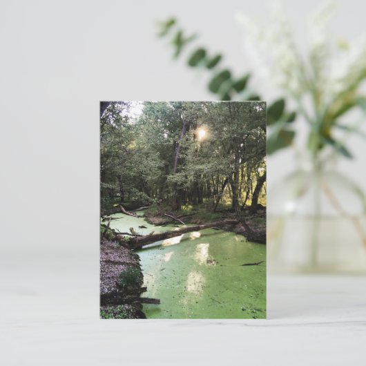 砂点歩道 ポストカード (スタンド正面)