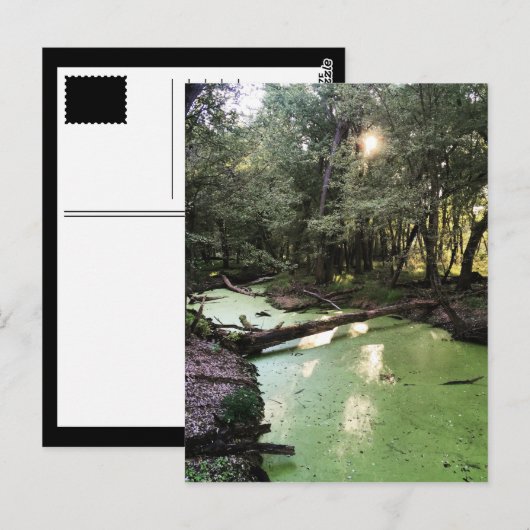 砂点歩道 ポストカード (正面/裏面)