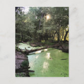 砂点歩道 ポストカード (正面)