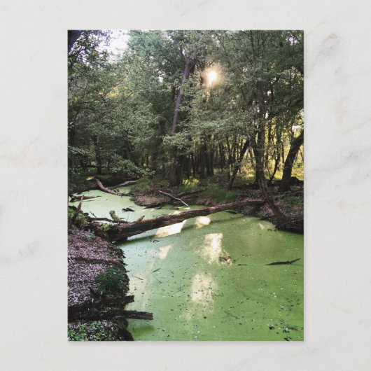 砂点歩道 ポストカード (正面)