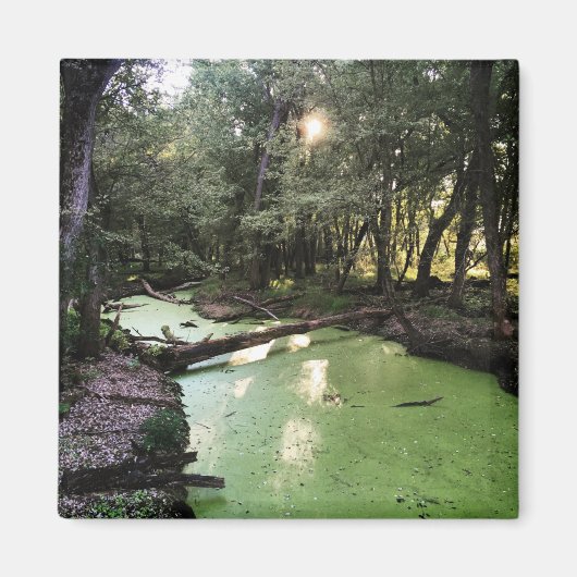 砂点歩道 マグネット (正面)