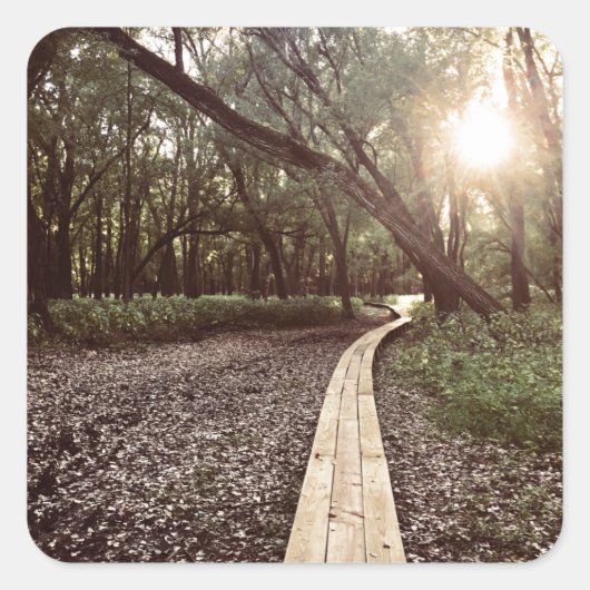 砂点軌道ミネソタ スクエアシール (正面)