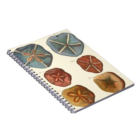 砂玉 ノートブック (右側)