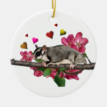 砂糖のグライダーのオーナメント