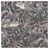 砂糖のグライダーのコラージュ ファブリック (クローズアップ)