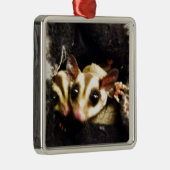 砂糖のグライダーの写真のデザイン メタルオーナメント (右)