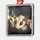 砂糖のグライダーの写真のデザイン メタルオーナメント (左)