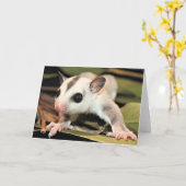 砂糖のグライダーの挨拶状 カード (黄色い花)