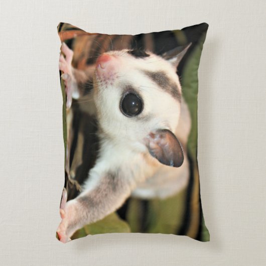 砂糖のグライダーの枕 アクセントクッション (正面(垂直))