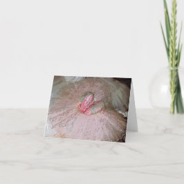 砂糖のプラム シーズンカード