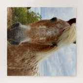 "砂糖の歩幅：アパルーサの恵み" ジグソーパズル (横)