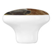 "砂糖の歩幅：アパルーサの恵み" セラミックノブ (側面)