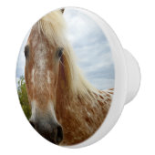 "砂糖の歩幅：アパルーサの恵み" セラミックノブ (右)