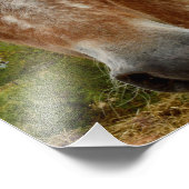 "砂糖の歩幅：アパルーサの恵み" フォトプリント            (角)