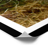 "砂糖の歩幅：アパルーサの恵み" ポスター (角)