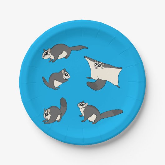 砂糖の滑空機 ペーパープレート (正面)