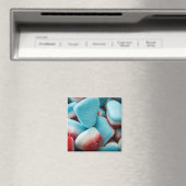 砂糖グミキャンディー冷凍機磁石 マグネット (インサイチュ (食洗機))
