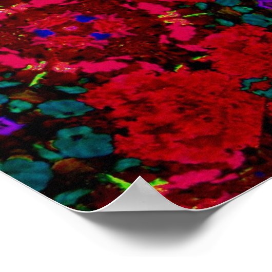 砂糖スカルシンコデマヨレッドフローラ名大 ポスター (角)