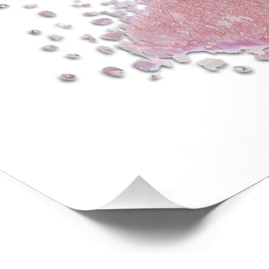 砂糖梅の妖精 ポスター (コーナー)