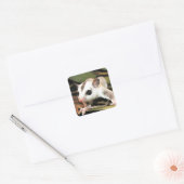 砂糖滑空機 スクエアシール (封筒)