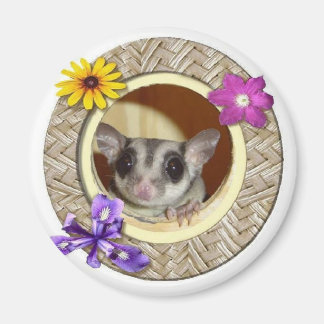 砂糖滑空機 マグネット