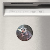 砂糖滑空機 マグネット (インサイチュ (食洗機))