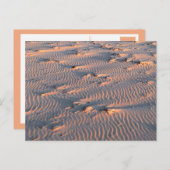 砂紋はがき ポストカード (正面/裏面)