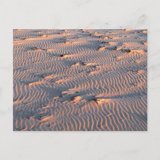 砂紋はがき ポストカード (正面)