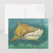 砂素晴らしサメ ポストカード (正面/裏面)