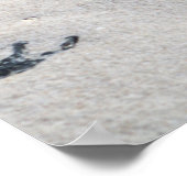 砂色の貝殻16x20 ポスター (角)