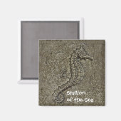 砂質加工のシーホース写真 マグネット (正面/裏面)