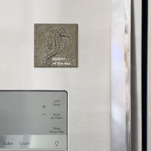 砂質加工のシーホース写真 マグネット (インサイチュ (冷蔵庫))