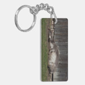 砂風呂に入ったかわいいロバ キーホルダー (正面左)