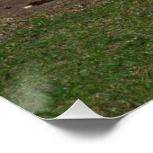 砂風呂に入ったかわいいロバ ポスター (コーナー)