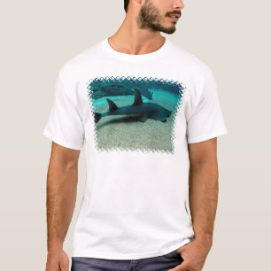 砂鮫の人のTシャツ Tシャツ