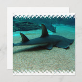 砂鮫の招待状 招待状 (正面/裏面)