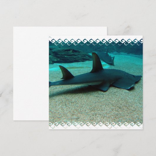 砂鮫の招待状 招待状 (正面/裏面)