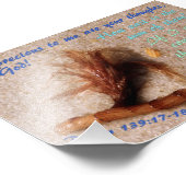 砂（詩編139:17-18） フォトプリント            (角)