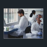 研究室で作業する化学者 ポストカード<br><div class="desc">AssetID:オウム010739 / {Ryan McVay} /実験室で働く化学者</div>