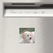 研究室は愛である マグネット (インサイチュ (食洗機))