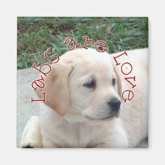 研究室は愛である マグネット