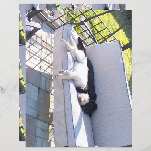 研究室グループの眠りスクラップブック (正面/裏面)