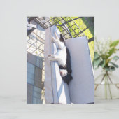 研究室グループの眠りスクラップブック (スタンド正面)