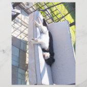 研究室グループの眠りスクラップブック (正面)