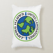 研究所統一された装飾用クッション アクセントクッション (正面(垂直))