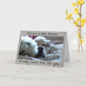 **研究科**夢を見て、実現で来きる カード (黄色い花)