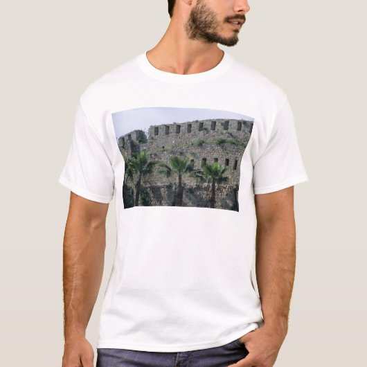 砦からの城壁 Tシャツ (正面)