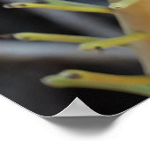 砲弾の木のフラワーポスター ポスター (角)