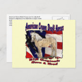 破れたフラッグクリーム葉書 ポストカード (正面/裏面)