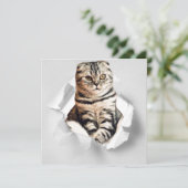 破れた紙から顔を出す灰色の猫のイリュージョン (スタンド正面)